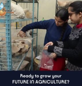 Sow the Seeds of your Future – At Dr Khem Singh Gill Akal College of Agriculture