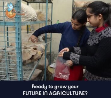 Sow the Seeds of your Future – At Dr Khem Singh Gill Akal College of Agriculture