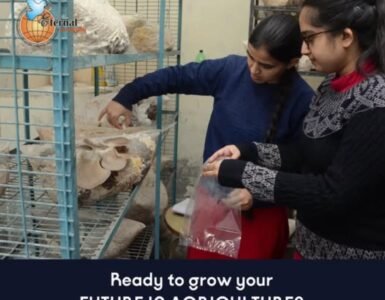 Sow the Seeds of your Future – At Dr Khem Singh Gill Akal College of Agriculture