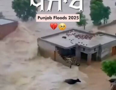 Let’s Stand with Punjab at this Time of Need- An Appeal