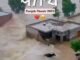 Let’s Stand with Punjab at this Time of Need- An Appeal
