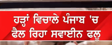 Kalgidhar Society Acts to Prevent Disease After Punjab Floods 2025