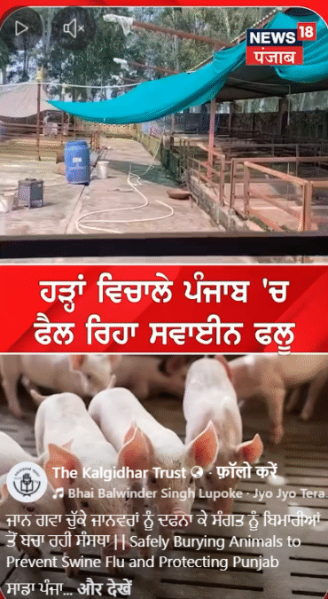 Kalgidhar Society Acts to Prevent Disease After Punjab Floods 2025