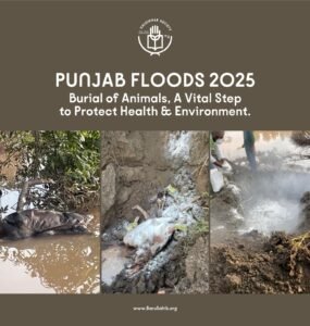 After the Floods – Kalgidhar Society’s Mission to Protect Punjab’s Health