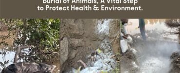 After the Floods – Kalgidhar Society’s Mission to Protect Punjab’s Health