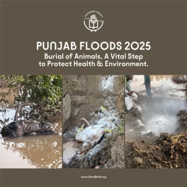 After the Floods – Kalgidhar Society’s Mission to Protect Punjab’s Health