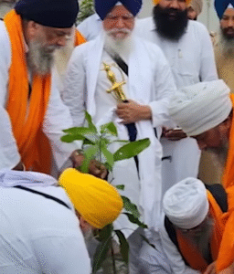 Planting Hope – 100 Mango Trees donated for Punjab’s Future