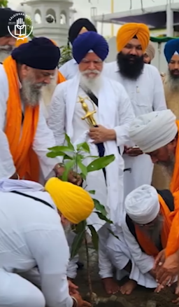 Planting Hope – 100 Mango Trees donated for Punjab’s Future