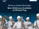 Where Pure minds voice Divine Melodies – Baru Sahib Kids’ Shabads Now Streaming Worldwide @Sikhnet