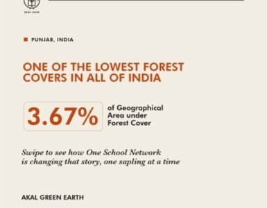 CSR Environmental Sustainability Initiatives in India – How The Kalgidhar Society is Growing 6.73 Lakh Trees Through Education